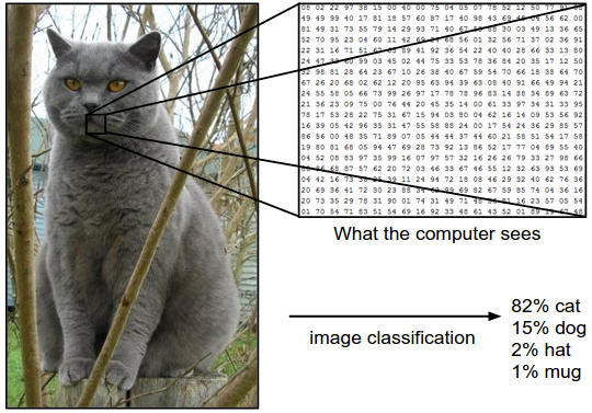 How computers see images, source: http://cs231n.github.io/